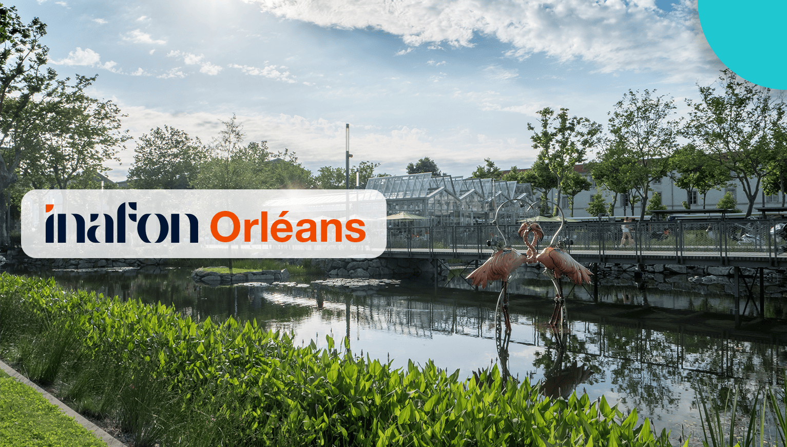actu-orleans-dic182a-6a68b3df81629752659427.png